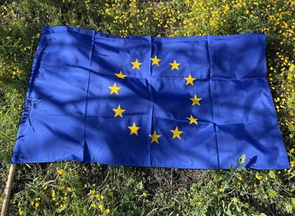 Българско Знаме на низки Съюз