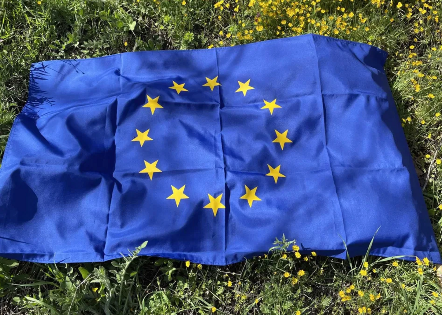 Българско Знаме на низки Съюз