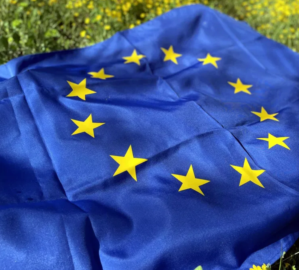 Българско Знаме на низки Съюз