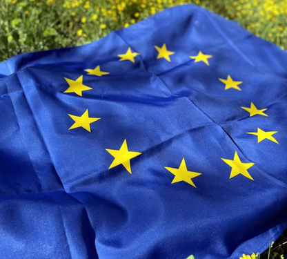 Българско Знаме на низки Съюз