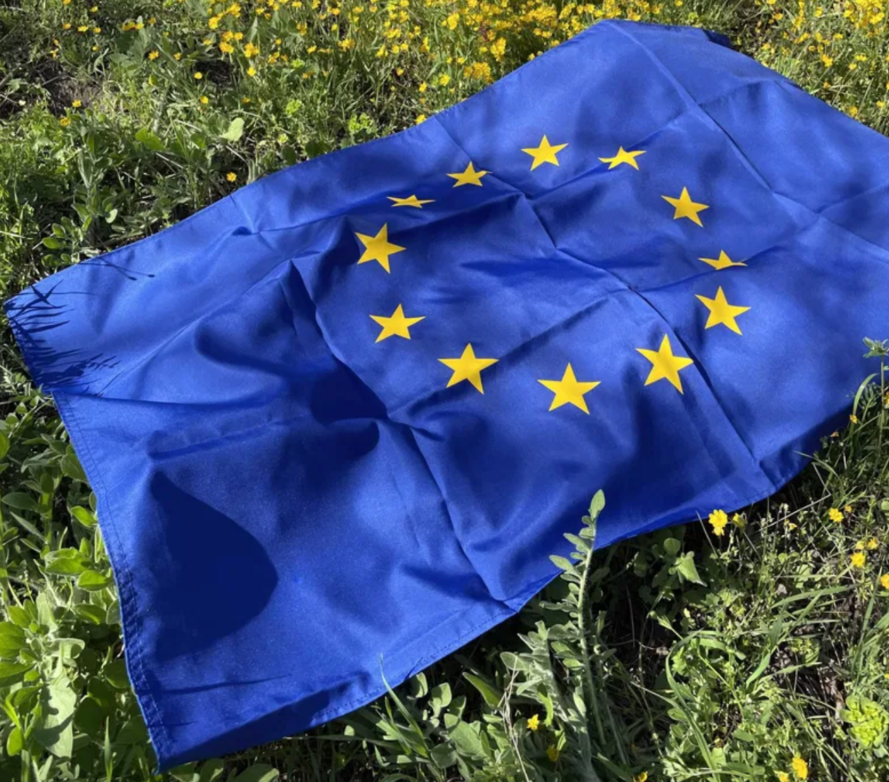 Българско Знаме на низки Съюз