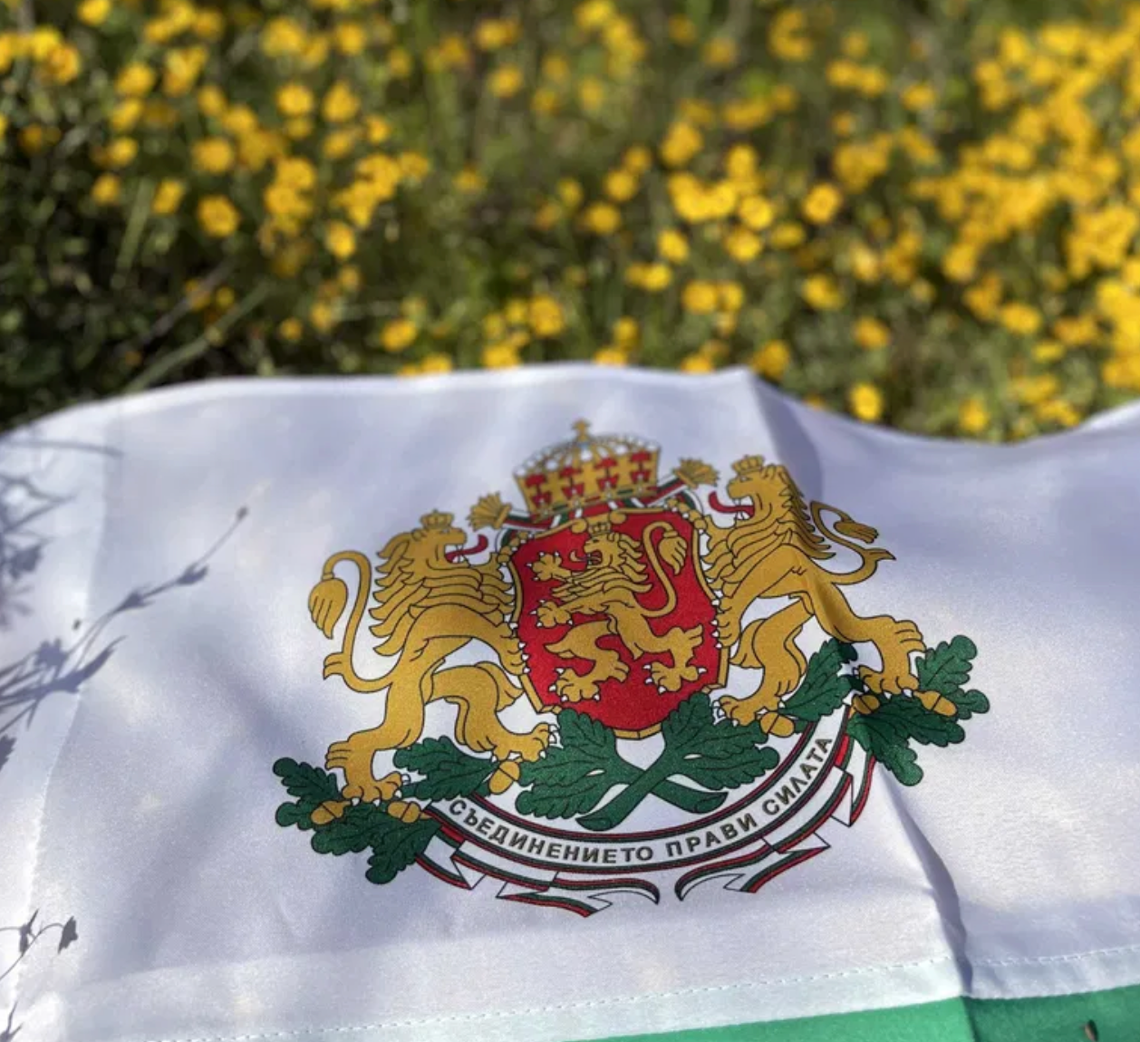 Българско Hационално Знаме с Герб